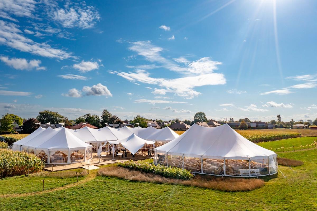 STRETCHED.BE Ruddervoorde, Belgium - Fan Favorite